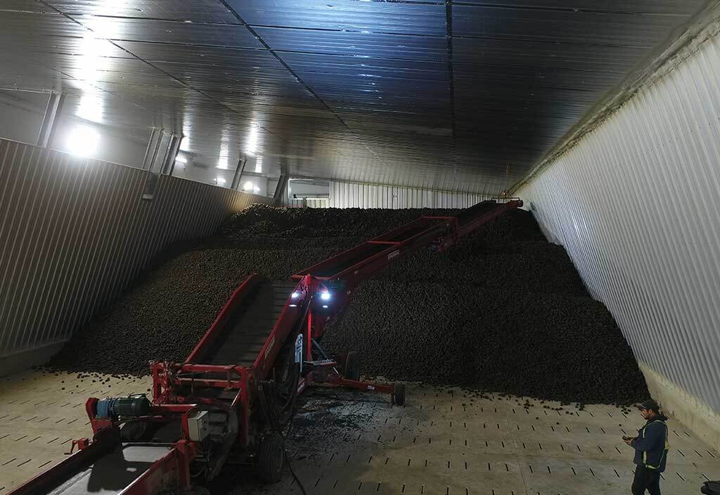 BEHLEN Steel Buildings LP: Wiebe&rsquo;s Potato Farm Storage